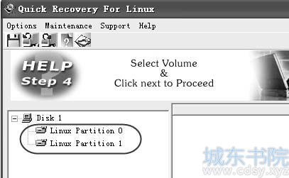 Linux系统数据恢复专业工具详解