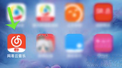 网易云怎么设置不会被其他应用中断播放