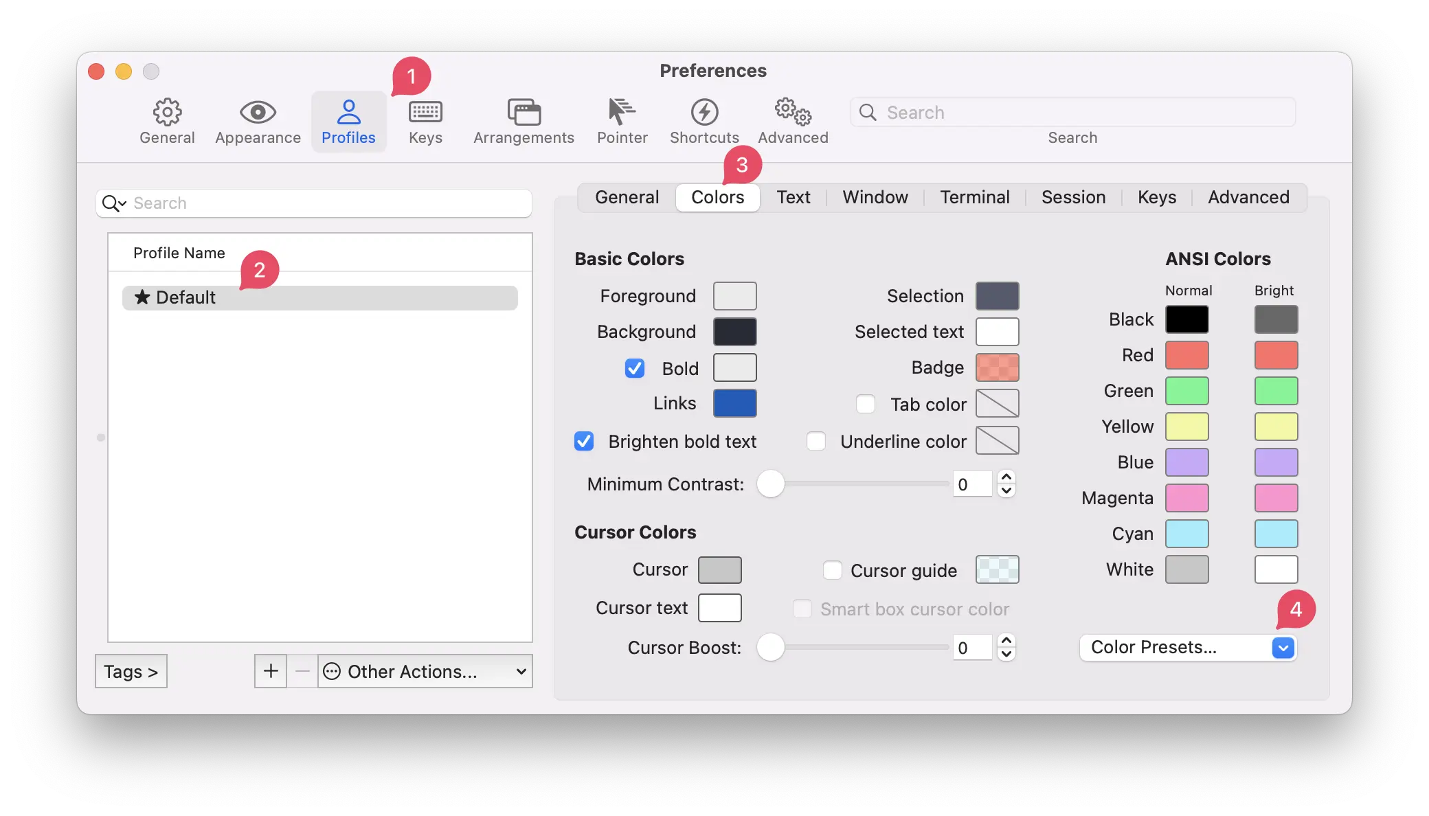 iTerm2 Dracula Theme