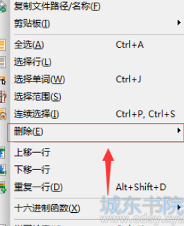 UltraEdit选中位置删除至末尾的具体操作方法截图